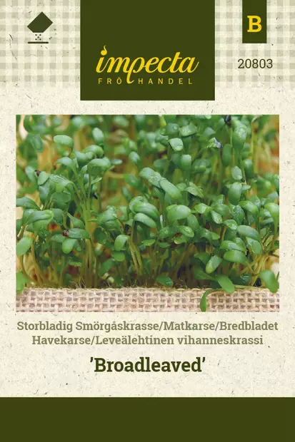 Leveälehtinen vihanneskrassi, siemen, Impecta - Vihannesten siemenet - 7332756208038 - 1