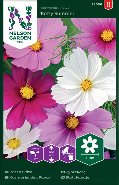 Punakosmoskukka 'Early Summer' siemen, Nelson Garden - Kukkien siemenet - 7312600950368 - 1