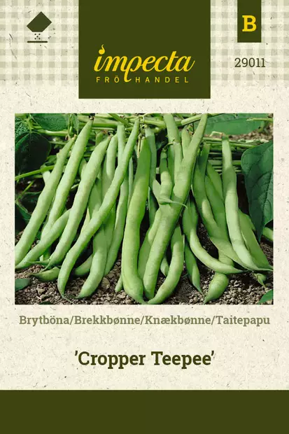 Taitepapu 'Cropper Teepee', siemen, Impecta - Vihannesten siemenet - 7332756290118 - 1
