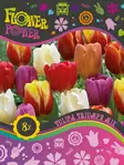 Flower Power Tulppaanisekoitus 8 kpl - Syyssipulit - 8711148241898 - 1