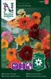 Isoköynnöskrassi 'Out of Africa' siemen, Nelson Garden - Kukkien siemenet - 7312600938328 - 1