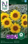 Kääpiöauringonkukka 'Pacino Gold' siemen, Nelson Garden - Kukkien siemenet - 7312600952928 - 1