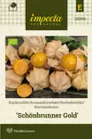 Karviaiskoiso 'Schönbrunner Gold',siemen, Impecta - Vihannesten siemenet - 7332756283998 - 1