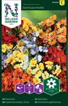 Kirjokohtalonkukka 'Carnival Mix' siemen, Nelson Garden - Kukkien siemenet - 7312600942608 - 1