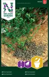 Korianteri siemen, Nelson Garden - Yrttien siemenet - 7312600904248 - 1