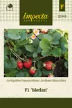 Mansikka' Merlan' F1, siemen, Impecta - Vihannesten siemenet - 7332756259658 - 1
