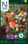 Mehiläiskukka siemenseos, Nelson Garden - Kukkien siemenet - 7312600932548 - 1