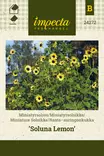 Ranta-auringonkukka 'Soluna Lemon', siemen, Impecta - Annossiemenet - 7332756242728 - 1