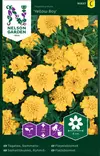 Ryhmäsamettikukka 'Yellow Boy' siemen, Nelson Garden - Kukkien siemenet - 7312600956278 - 1