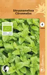 Sitruunamelissa, luomu, siemen, Schetelig - Annossiemenet - 6415151100198 - 1