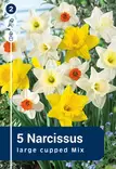 Tarhanarsissisekoitus 5 kpl - Syyssipulit - 8711148317258 - 1