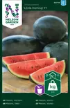 Vesimeloni 'Little Darling' F1 siemen, Nelson Garden - Vihannesten siemenet - 7312600907188 - 1