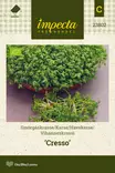 Vihanneskrassi 'Cresso', siemen, Impecta - Annossiemenet - 7332756238028 - 1