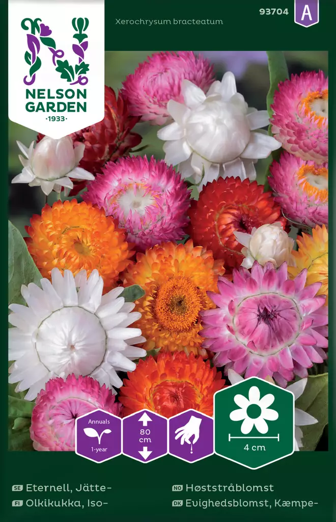 Iso-olkikukka väriseos, siemen, Nelson Garden - Kukkien siemenet - 7312600937048 - 1