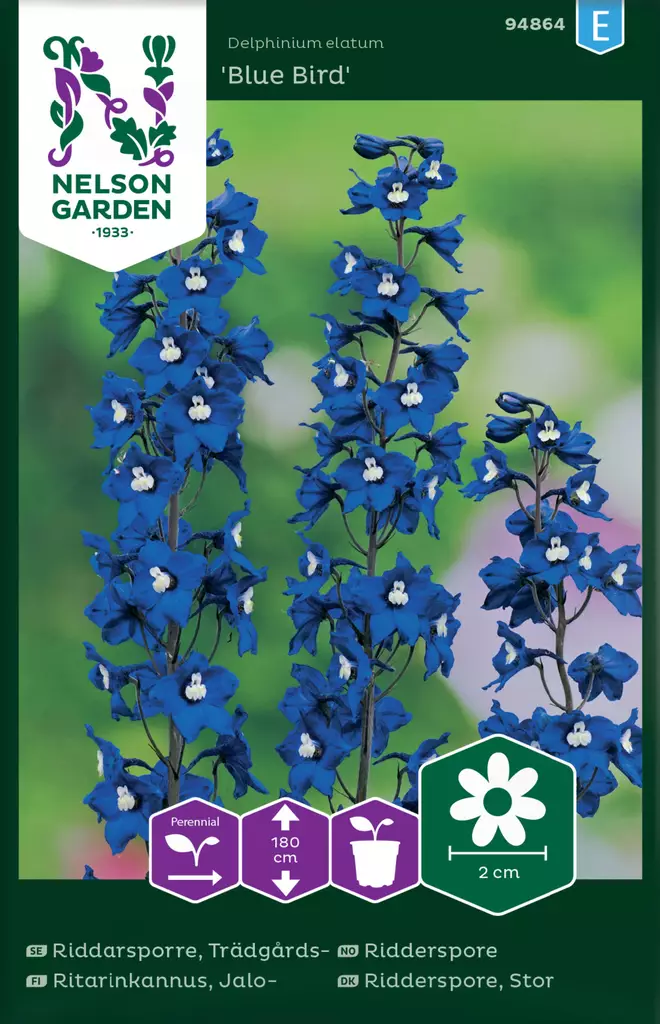 Jaloritarinkannus 'Blue Bird' siemen, Nelson Garden - Kukkien siemenet - 7312600948648 - 1