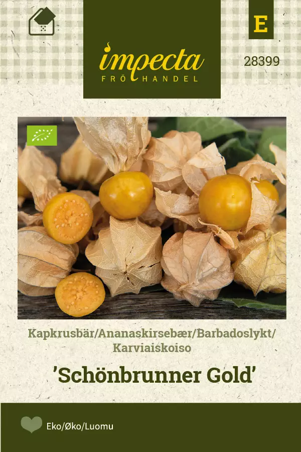 Karviaiskoiso 'Schönbrunner Gold',siemen, Impecta - Vihannesten siemenet - 7332756283998 - 1