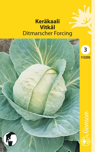 Keräkaali 'ditmarscher forcing', siemen, Schetelig - Annossiemenet - 6415151122008 - 1