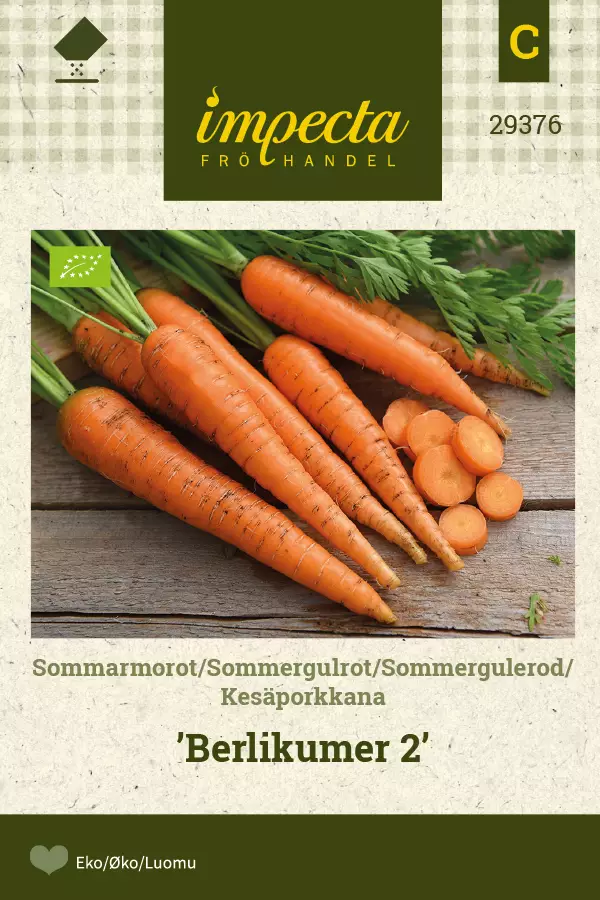 Kesäporkkana ' Berlikumer 2', siemen, Impecta - Vihannesten siemenet - 7332756293768 - 1