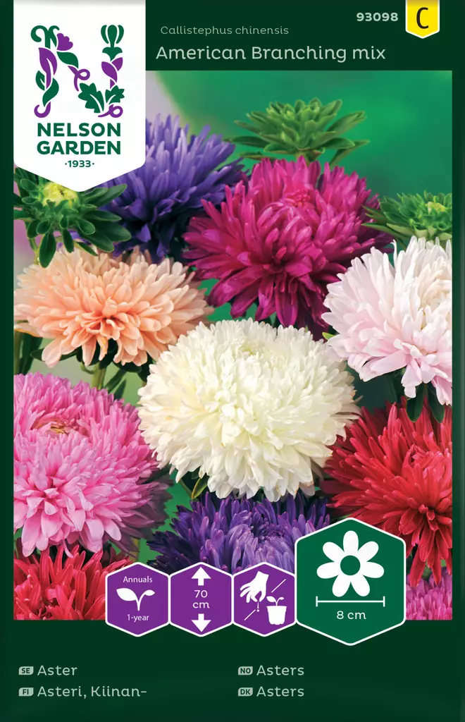 Kiinanasteri 'American Branching' siemen, Nelson Garden - Kukkien siemenet - 7312600930988 - 1