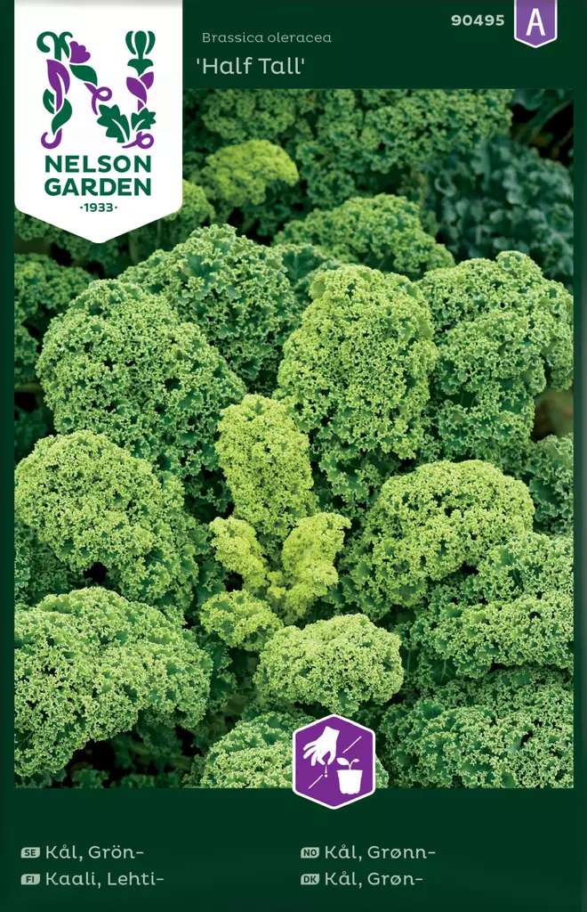 Lehtikaali 'Half Tall' siemen, Nelson Garden - Vihannesten siemenet - 7312600904958 - 1