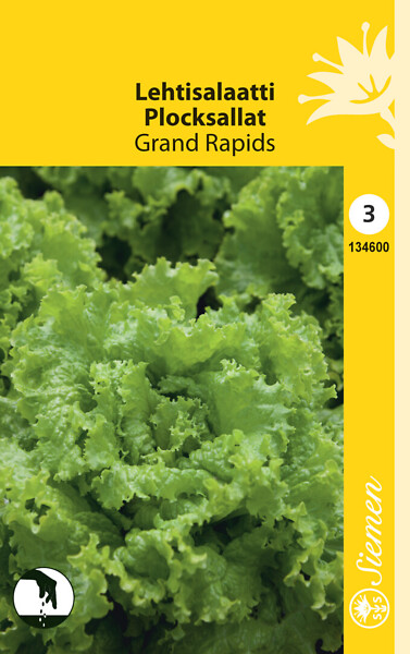 Lehtisalaatti 'Grand Rapids' siemen, Schetelig - Annossiemenet - 6415151346008 - 1