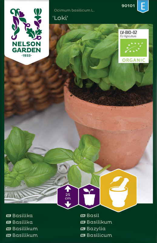 Maustebasilika 'Loki' luomu Nelson Garden - Vihannesten siemenet - 7312600901018 - 1