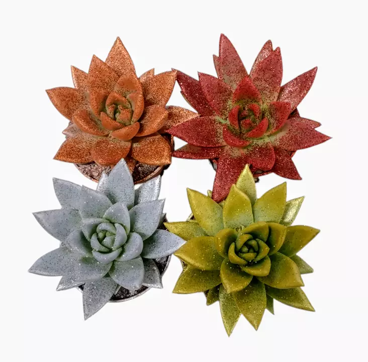 Mehiruusuke Glitter, pieni - Joulukukat ja -kasvit - 8713626193318 - 1