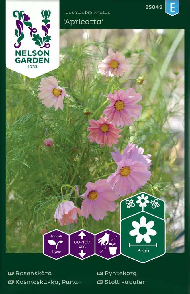 Punakosmoskukka 'Apricotta' siemen, Nelson Garden - Kukkien siemenet - 7312600950498 - 1
