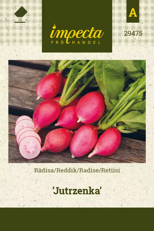 Retiisi 'Jutrzenka', siemen, Impecta - Annossiemenet - 7332756294758 - 1