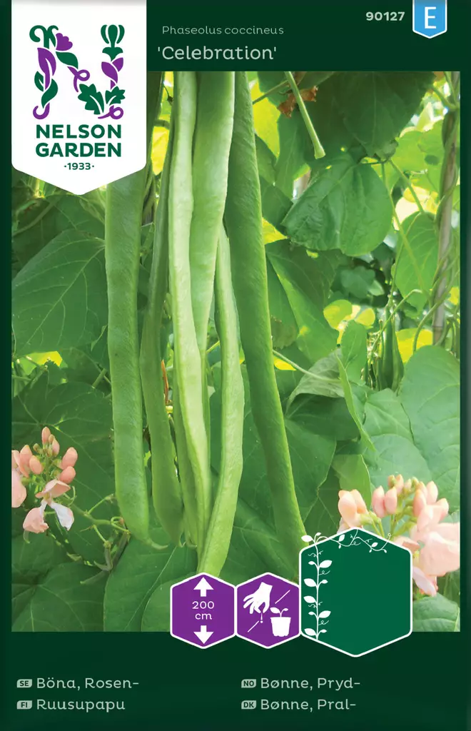 Ruusupapu 'Celebration' siemen, Nelson Garden - Vihannesten siemenet - 7312600901278 - 1