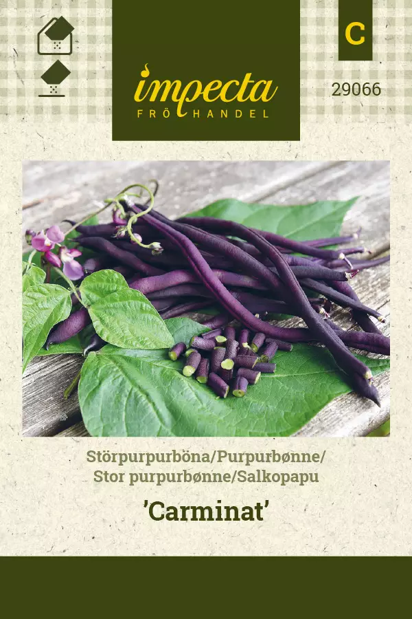 Salkopapu 'Carminat', siemen, Impecta - Vihannesten siemenet - 7332756290668 - 1