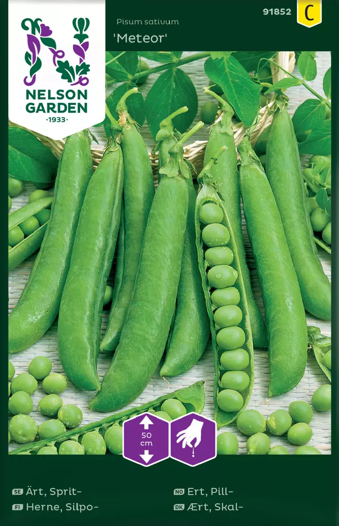 Silpoherne 'Meteor' siemen, Nelson Garden - Vihannesten siemenet - 7312600918528 - 1