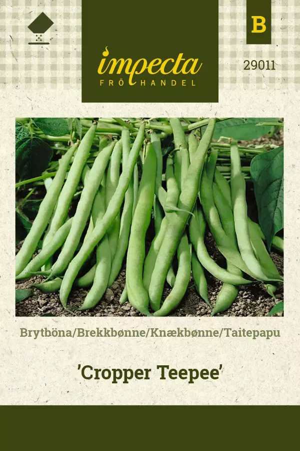Taitepapu 'Cropper Teepee', siemen, Impecta - Vihannesten siemenet - 7332756290118 - 1