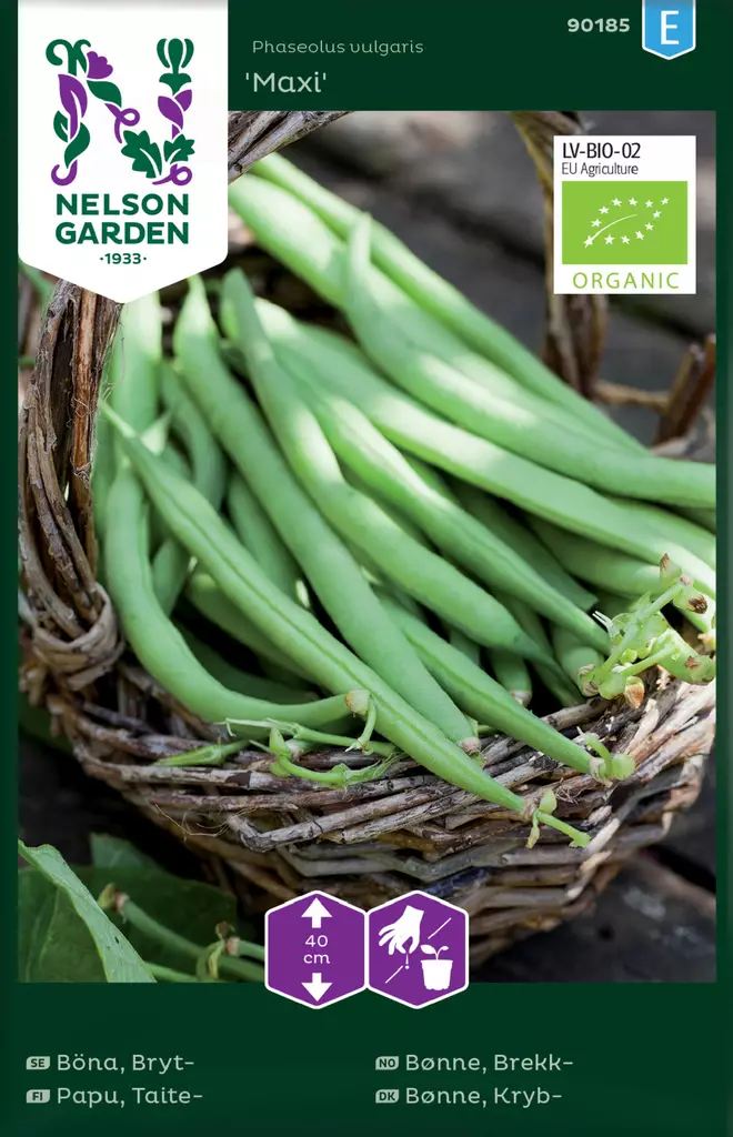 Taitepapu 'Maxi' siemen, Nelson Garden - Vihannesten siemenet - 7312600901858 - 1