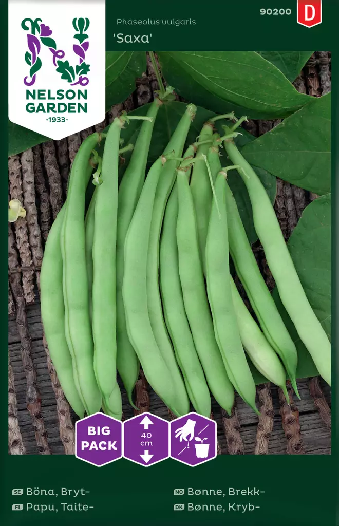 Taitepapu 'Saxa', Big Pack siemen, Nelson Garden - Vihannesten siemenet - 7312600902008 - 1