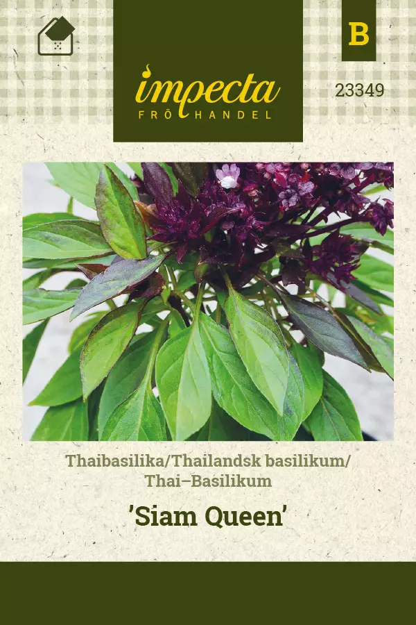 Thaibasilika 'Siam Queen', siemen, Impecta - Annossiemenet - 7332756233498 - 1