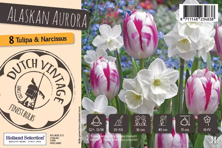 Tulppaani ja narsissi Alaskan Aurora 8 kpl Dutch Vintage - Syyssipulit - 8711148234838 - 1