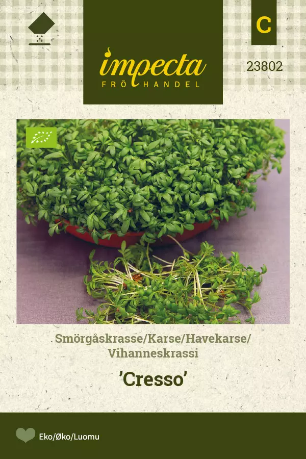 Vihanneskrassi 'Cresso', siemen, Impecta - Annossiemenet - 7332756238028 - 1