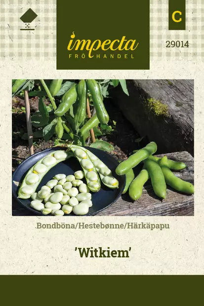 Härkäpapu 'Witkien', siemen - Vihannesten siemenet - 7332756290149 - 1