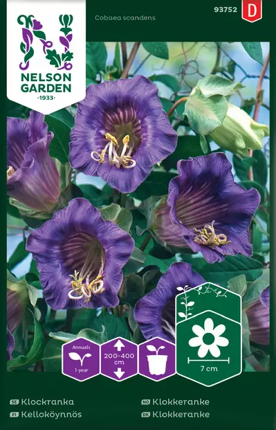 Kelloköynnös siemen, Nelson Garden - Kukkien siemenet - 7312600937529 - 1