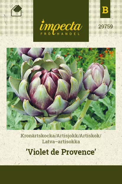 Latva-artisokka 'Violet de Provence', siemen, Impecta - Vihannesten siemenet - 7332756297599 - 1