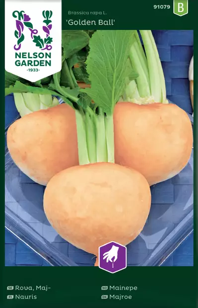 Nauris 'Golden Ball' siemen, Nelson Garden - Vihannesten siemenet - 7312600910799 - 1
