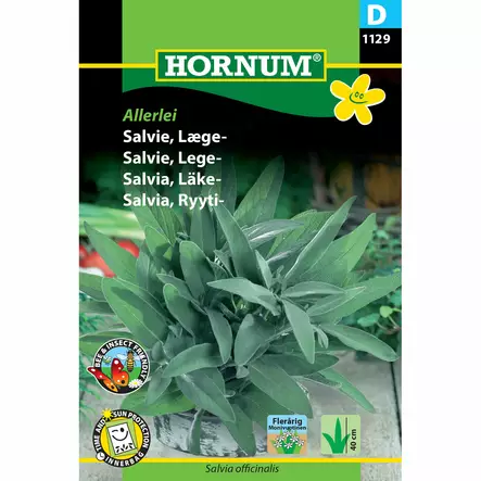 Ryytisalvia 'Allerlei' siemen Hornum - Annossiemenet - 5708787011299 - 1