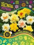 Flower Power Kerrottukukkainen Narsissisekoitus 8 kpl - Syyssipulit - 8711148241829 - 1