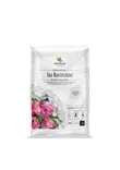 Iso Koristekivi Helmenvalkoinen 10 kg - Katteet - 6433000101189 - 1