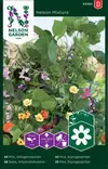 Köynnöskukka siemenseos, Nelson Garden - Kukkien siemenet - 7312600932609 - 1