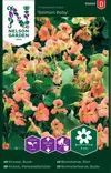 Pensasköynnöskrassi 'Salmon Baby' siemen, Nelson Garden - Kukkien siemenet - 7312600938489 - 1