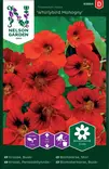 Pensasköynnöskrassi 'Whirlybird Mahogny' siemen, Nelson Garden - Kukkien siemenet - 7312600938649 - 1