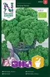 Persilja 'Grüne Perle' siemen, Nelson Garden - Yrttien siemenet - 7312600909489 - 1