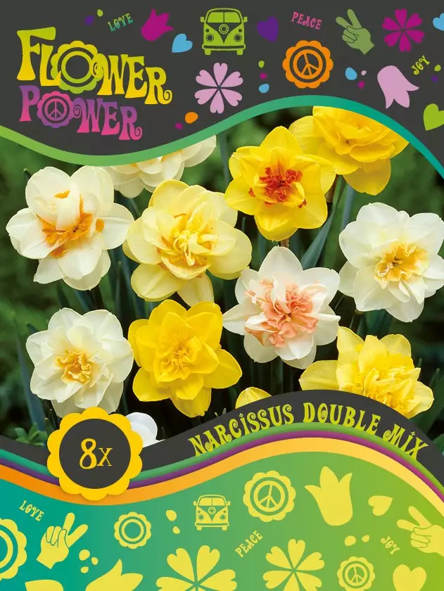 Flower Power Kerrottukukkainen Narsissisekoitus 8 kpl - Syyssipulit - 8711148241829 - 1